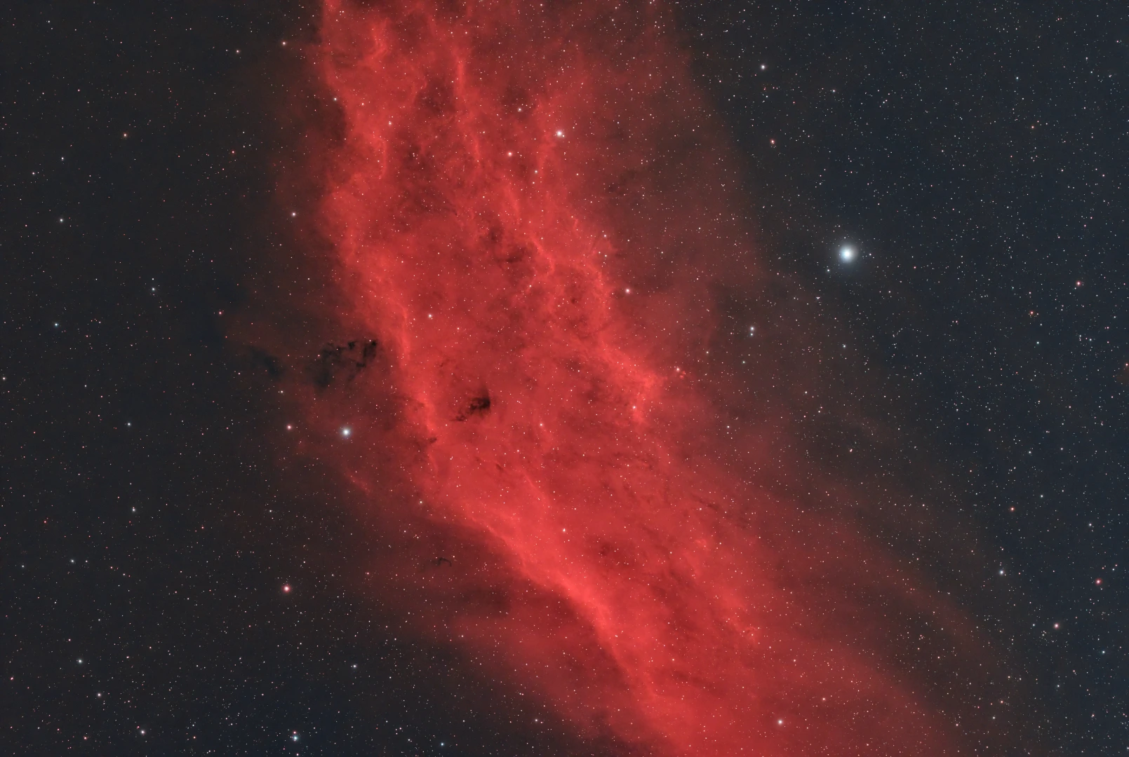 La Danza de las Estrellas: El ritmo que marca el Universo